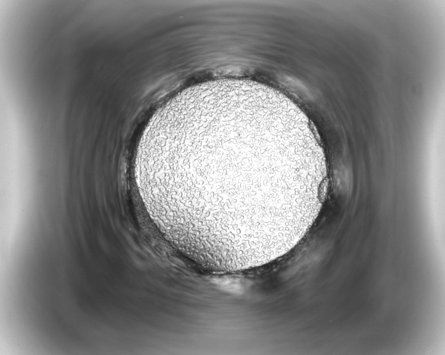X0000084580964200703161738