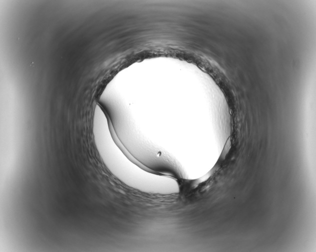 X0000084580965200703161738