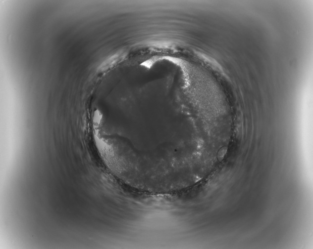X0000084580966200703161738