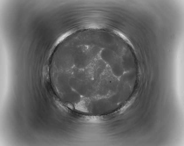 X0000084580970200703161738