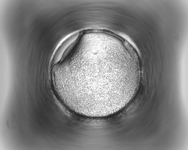 X0000084580972200703161738