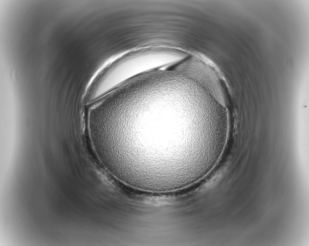 X0000084580973200703161738