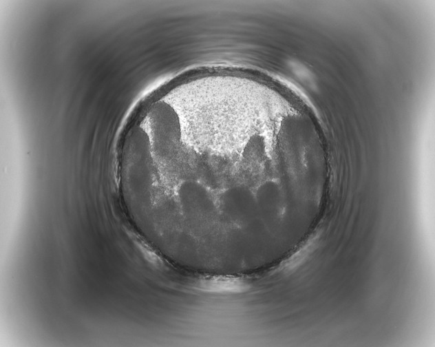 X0000084580974200703161738