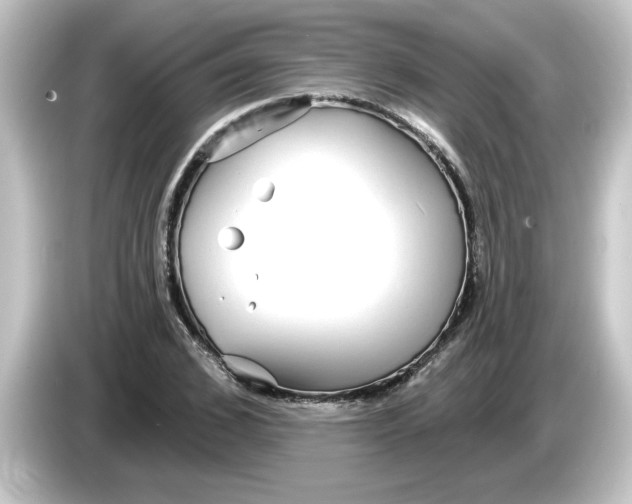 X0000084580976200703161738