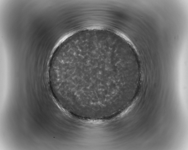 X0000084580978200703161738