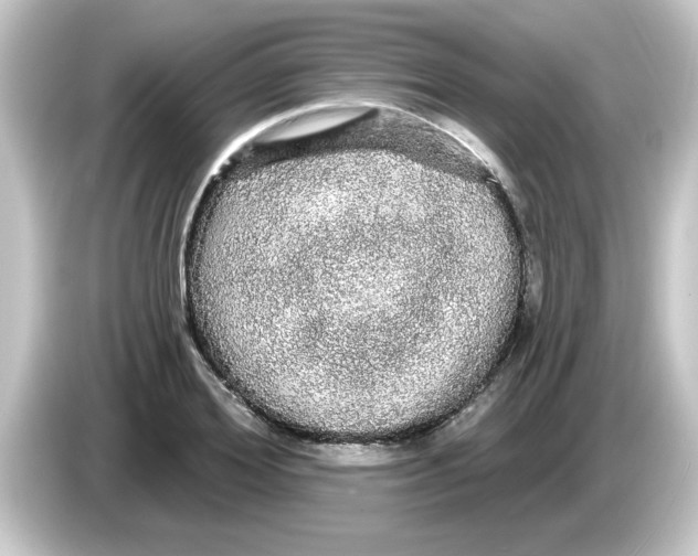X0000084580980200703161737