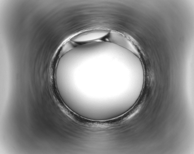 X0000084580981200703161737