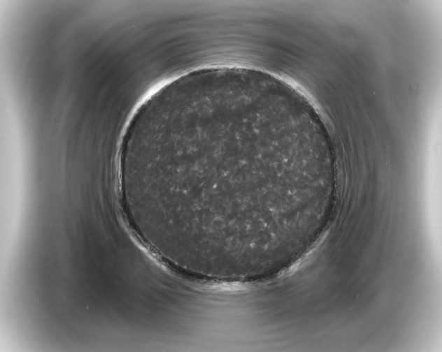 X0000084580982200703161737