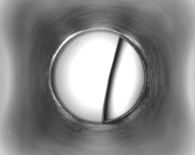 X0000084580984200703161737