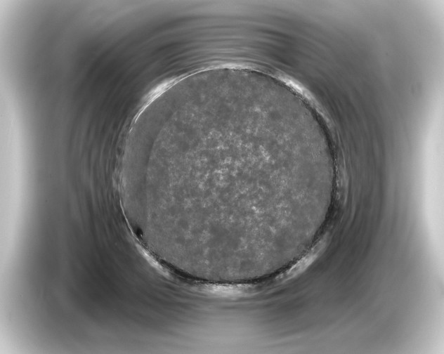 X0000084580985200703161737
