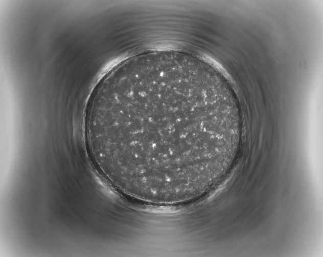X0000084580986200703161737