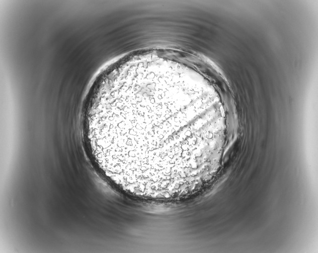 X0000084580987200703161737