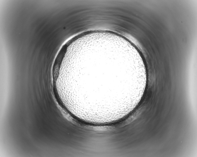 X0000084580988200703161737