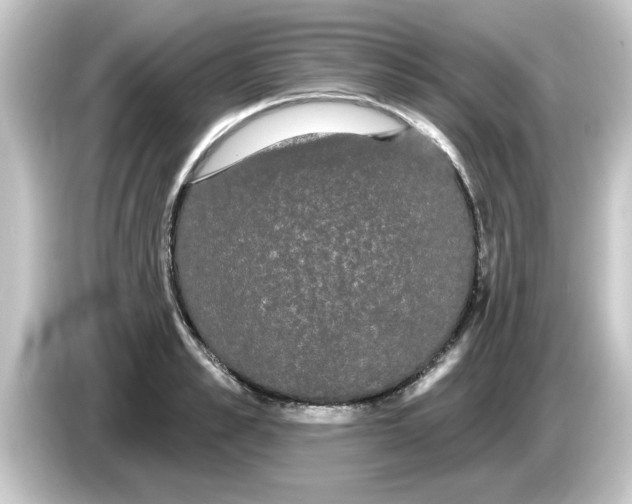 X0000084580989200703161737