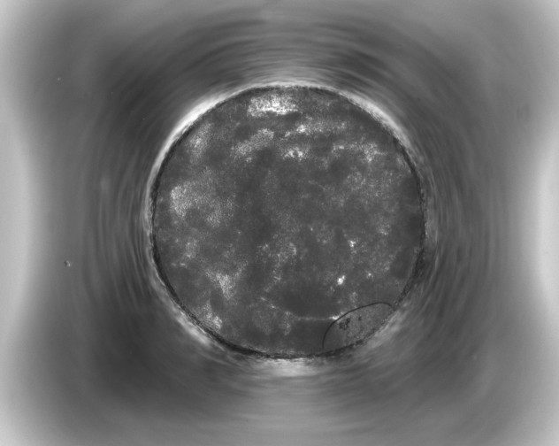 X0000084580990200703161737