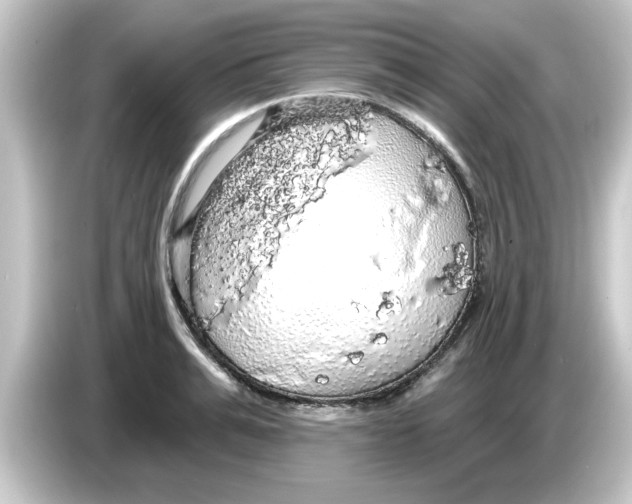 X0000084580991200703161737