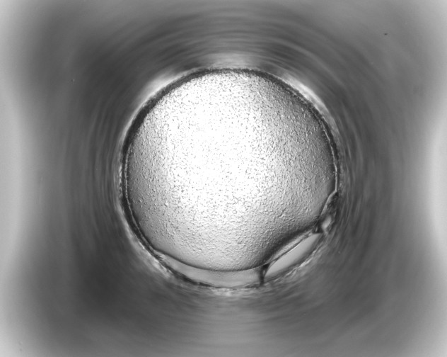 X0000084580992200703161737