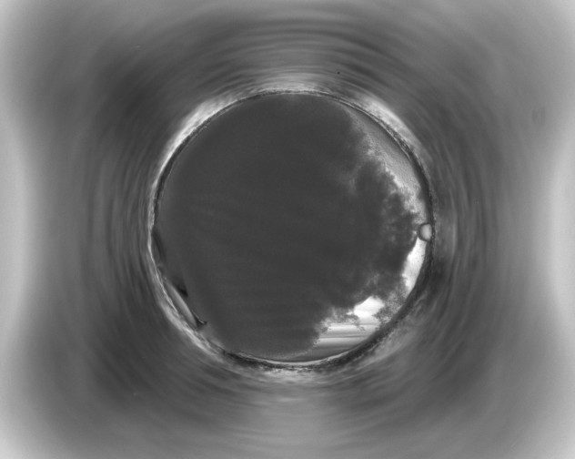X0000084580994200703161737