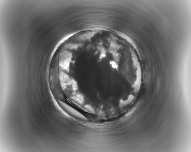X0000084580995200703161737