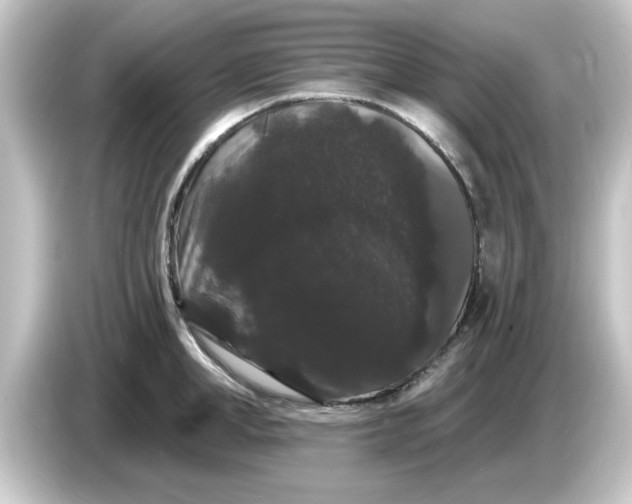 X0000084580998200703161737