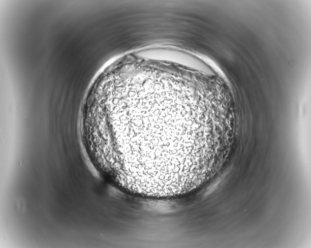 X0000084580999200703161737