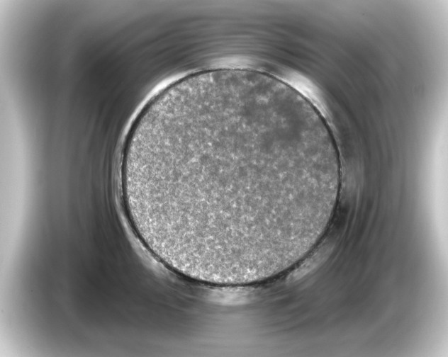 X0000084581000200703161737
