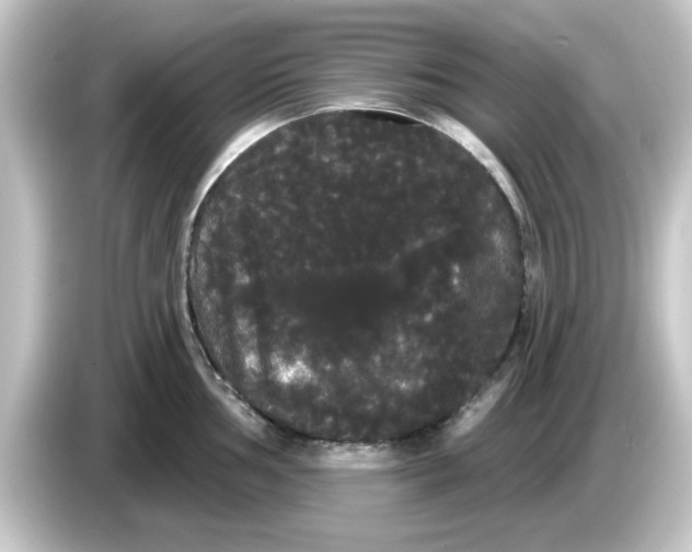 X0000084581002200703161737