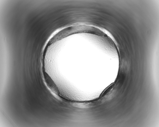 X0000084581005200703161737
