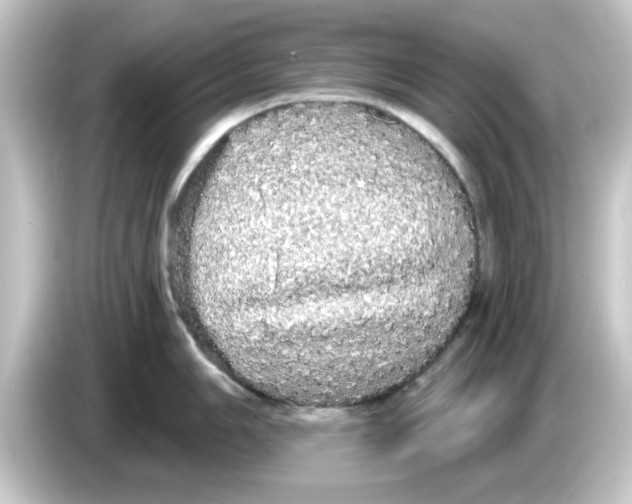 X0000084581006200703161737