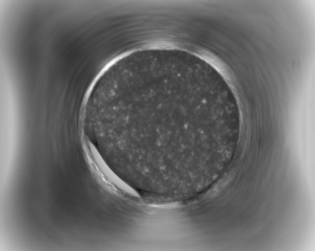 X0000084581008200703161737