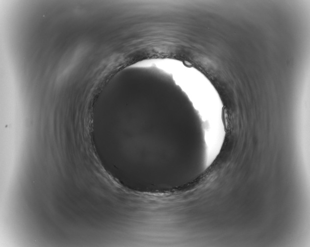 X0000084581009200703161737