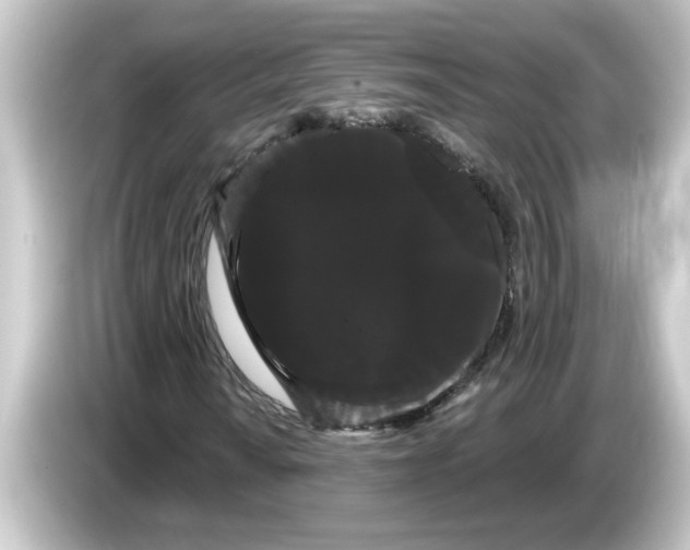 X0000084581010200703161737
