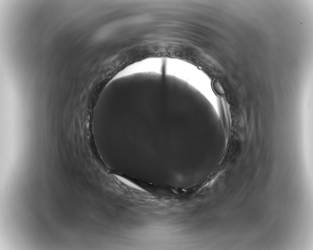 X0000084581013200703161737