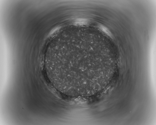 X0000084581015200703161737