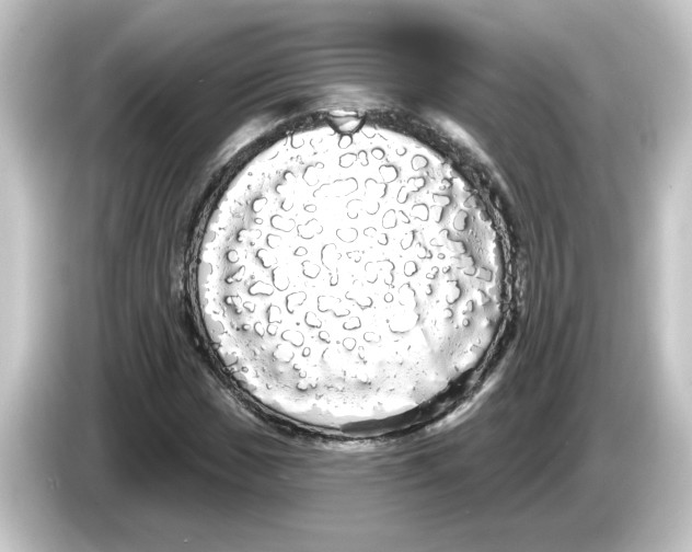 X0000084581017200703161737