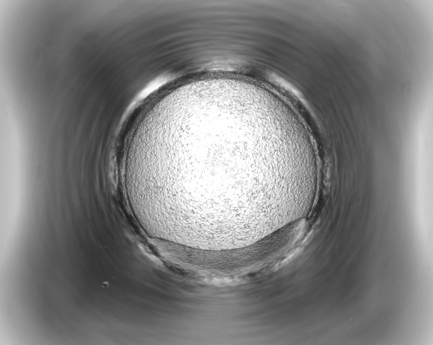 X0000084581018200703161737