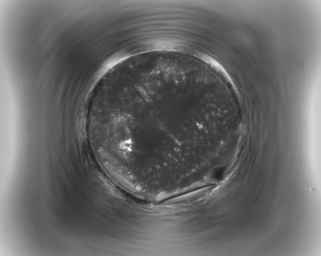 X0000084581019200703161737