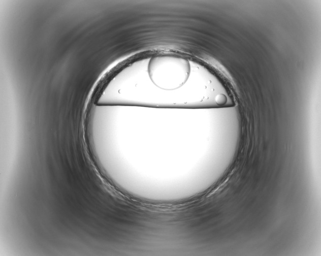 X0000084581020200703161737