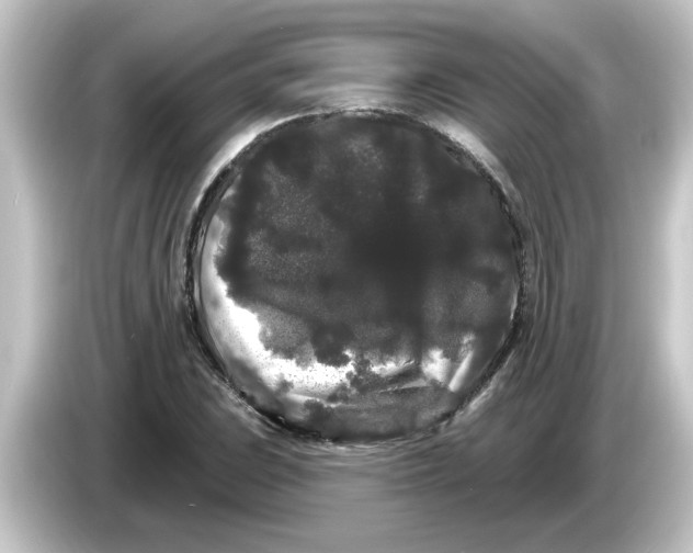 X0000084581023200703161737
