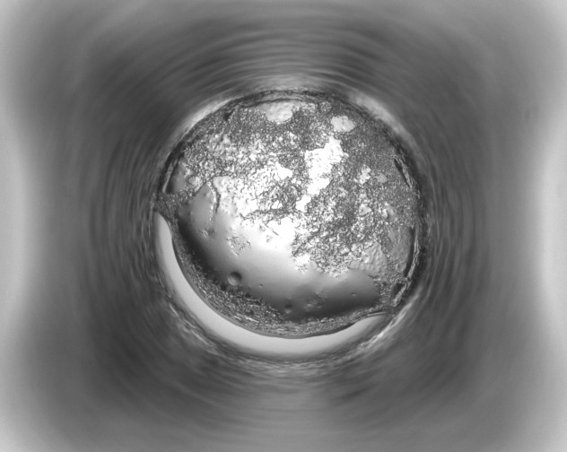 X0000084581025200703161737
