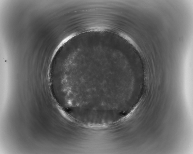 X0000084581026200703161737