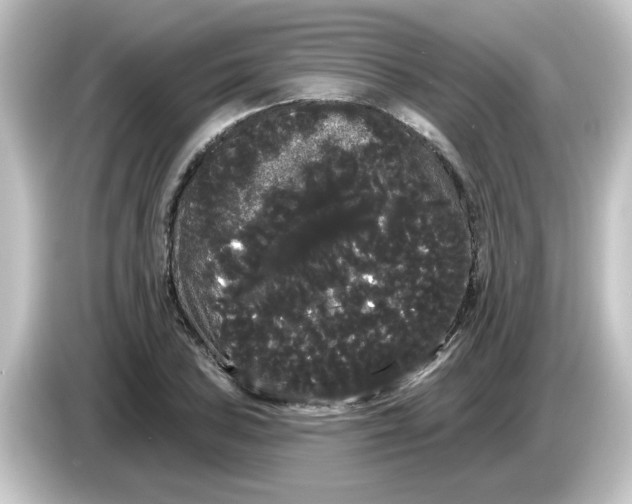 X0000084581027200703161737