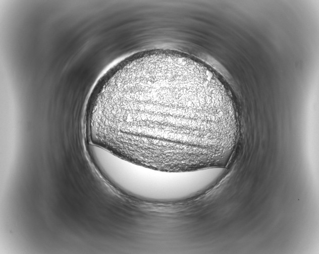 X0000084581028200703161737