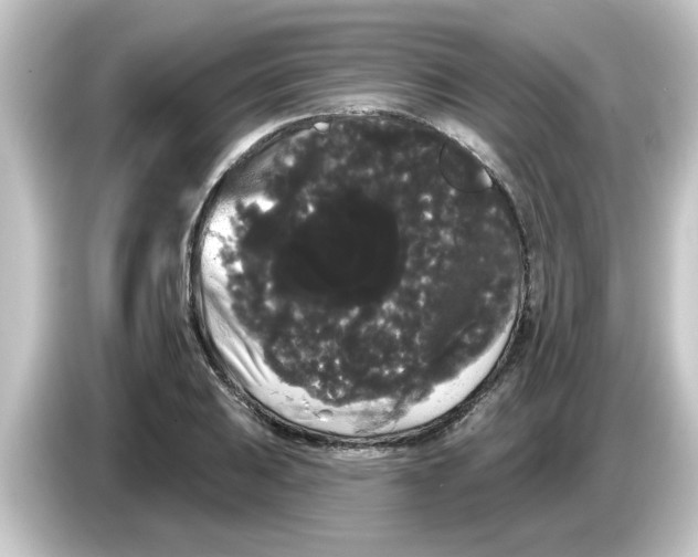 X0000084581031200703161737