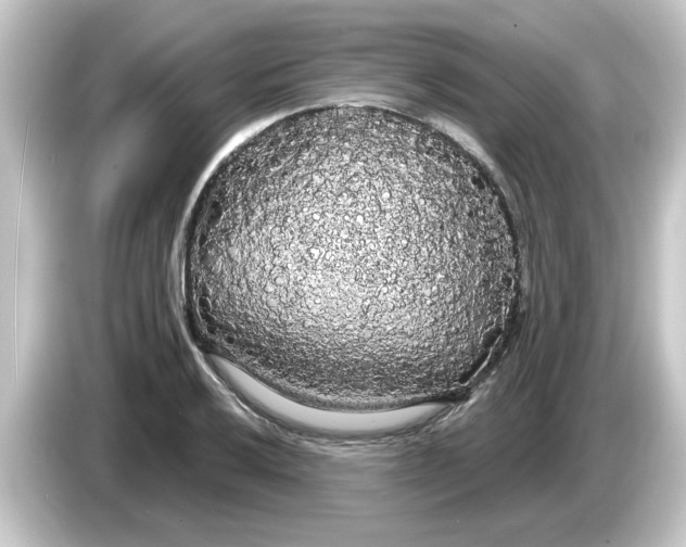 X0000084581032200703161737
