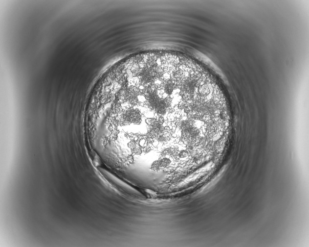 X0000084581033200703161737