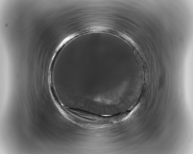 X0000084581034200703161737
