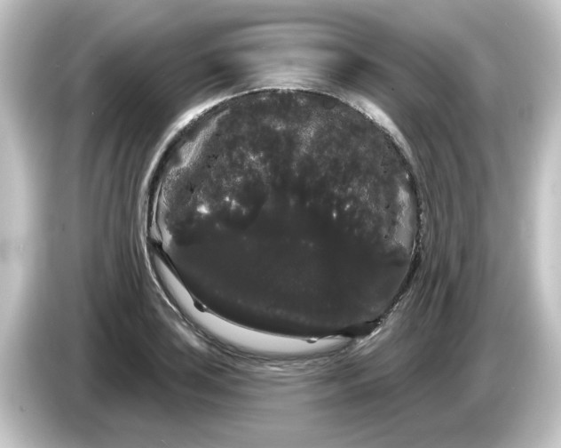 X0000084581035200703161737