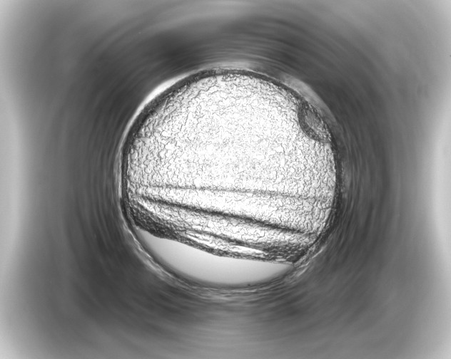 X0000084581036200703161737