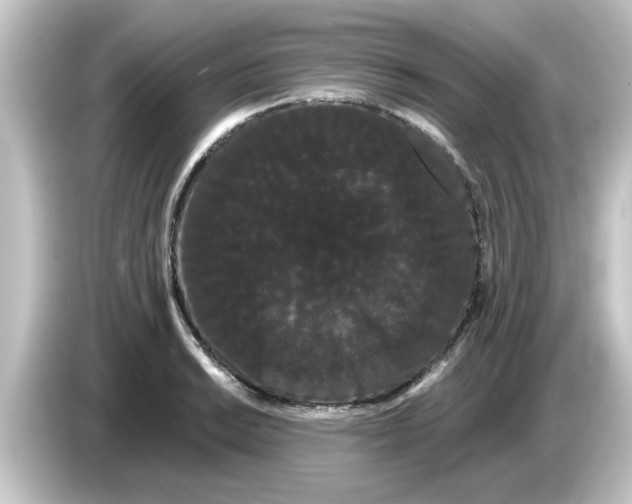 X0000084581038200703161737